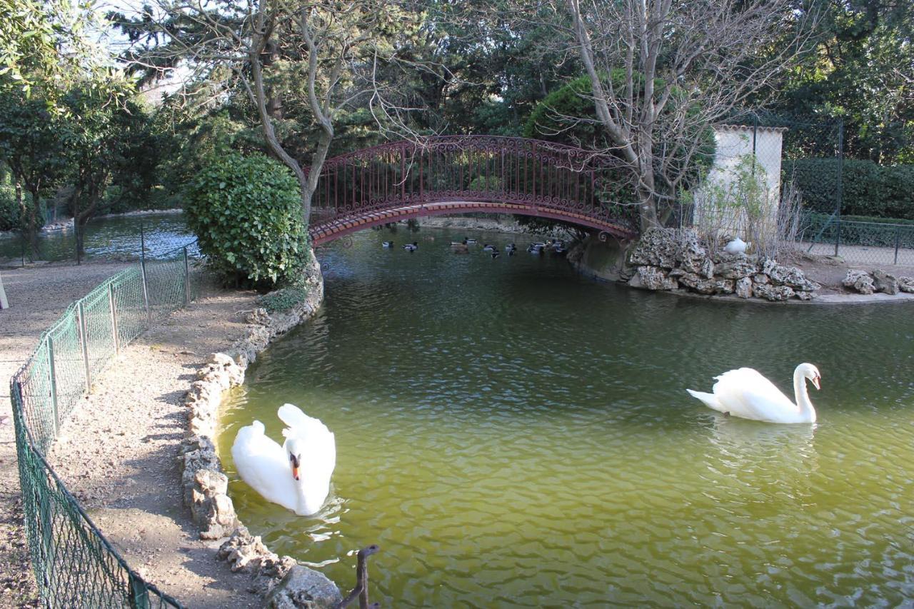 La Maison Du Canal - Canal Studio ออมป์ส ภายนอก รูปภาพ